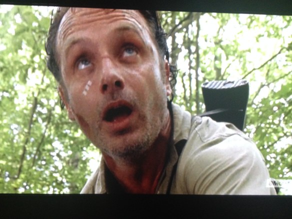 ...looking up at the walkers who will surely be coming, soon.