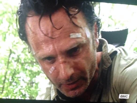 Rick Grimes, once again, doing what must be done, tireless against these grim, horrible, unrelenting times. We love you, and we believe in you, Rick Grimes! 
