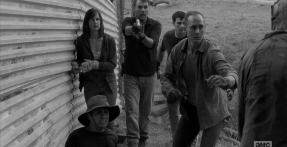 It quickly becomes apparent that these Alexandrians don't know shit about killing walkers.