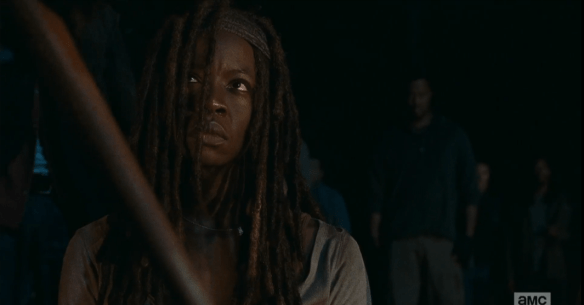 lm 238 michonne 2