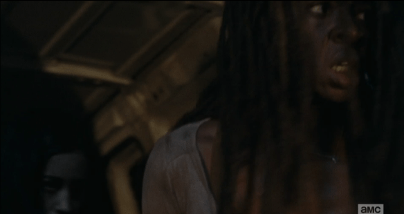 lm 43 michonne rosita